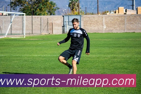 米乐体育平台生态图