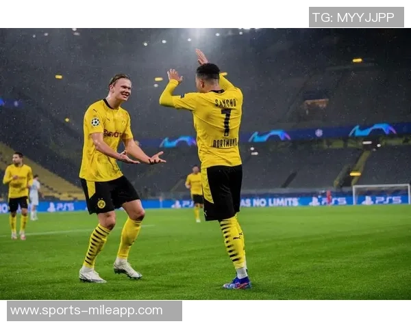 哈兰德分享与家人温馨合照感慨兄弟情深老大陪伴温暖心灵